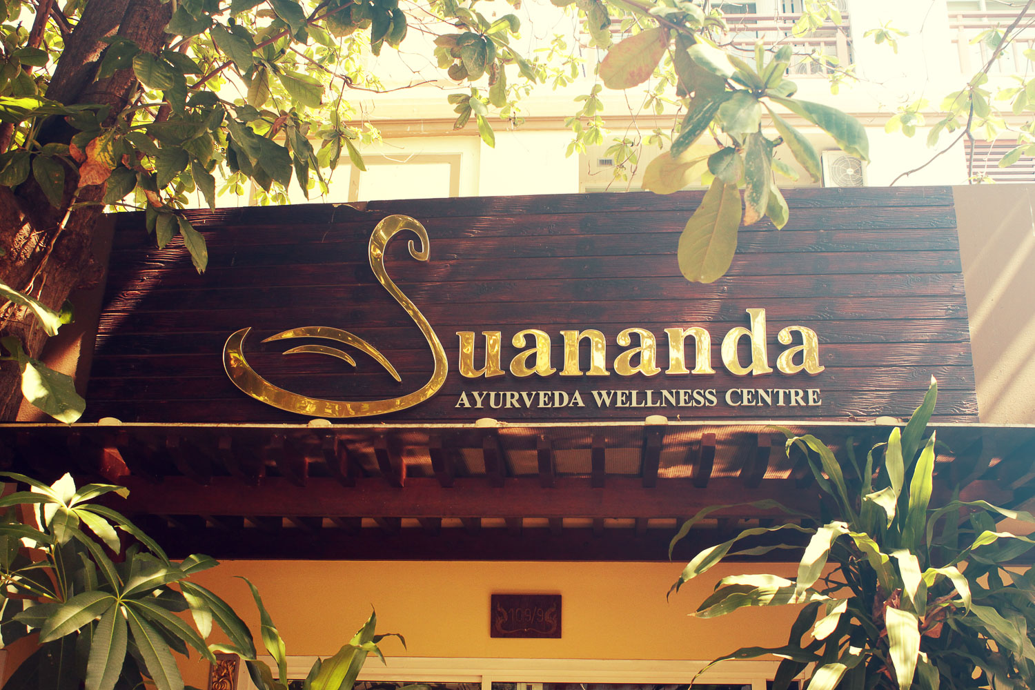 Suananda Vegetarian garden Yoga & Ayurveda in Bangkok | Best Nature Cure