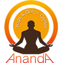 Ananda Yoga and Detox Center in Surat Thani Ayurvedic Centres Ananda Yoga and Detox Center in Surat Thani